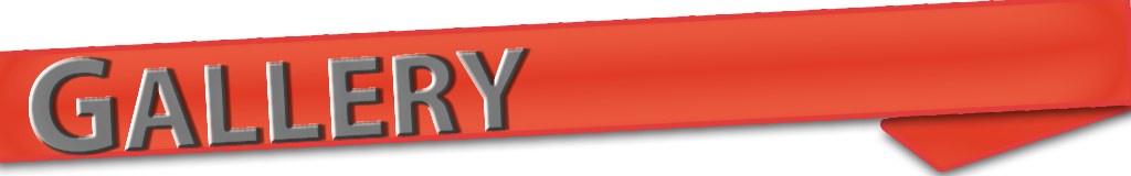 gallery-header